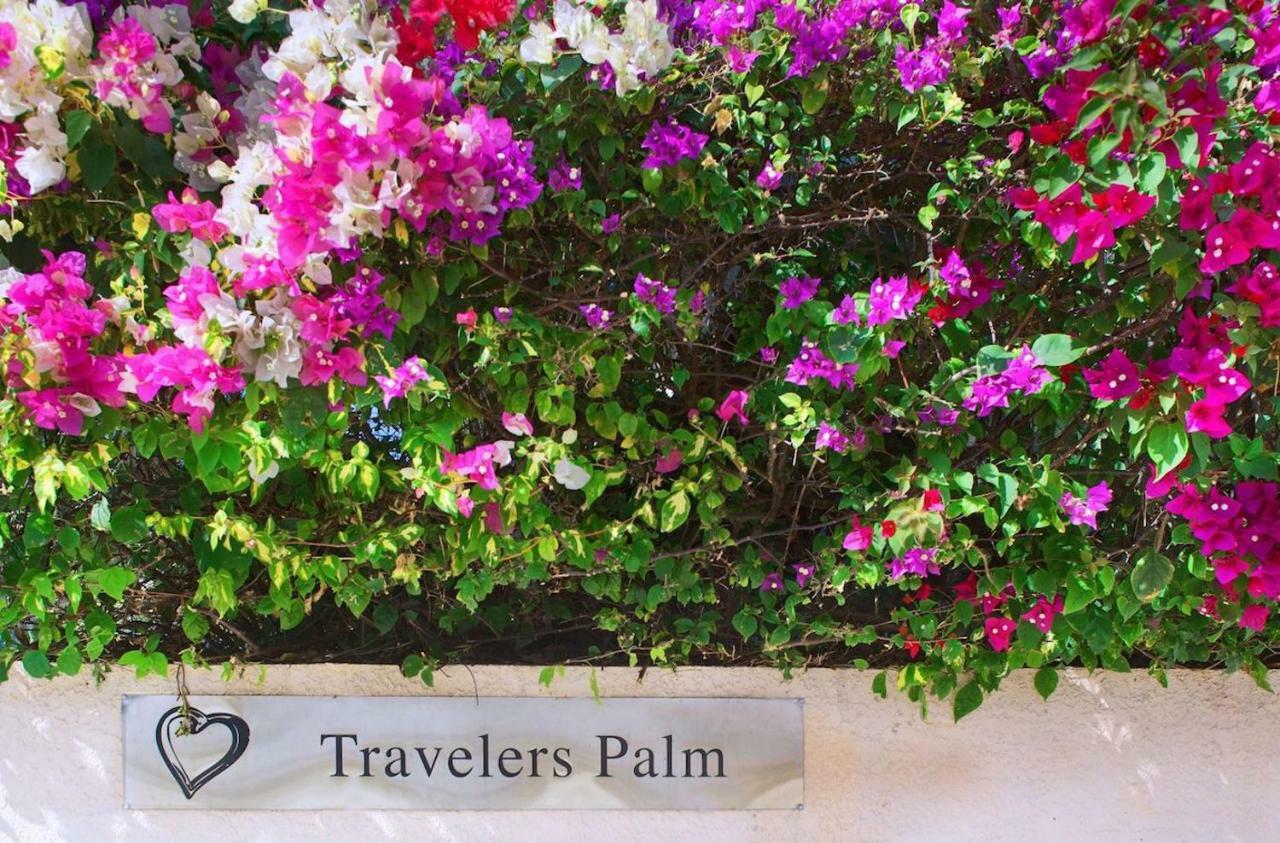 Travelers Palm Inn Key West Zewnętrze zdjęcie